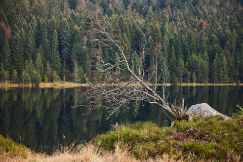 Gemeinde Lohberg Landkreis Cham Kleiner Arbersee (Dirschl Johann) Deutschland CHA